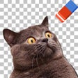 Icoon van programma: PNG MakerDelete Backgroun…