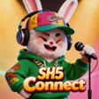 Icoon van programma: SH5Circuit Connect
