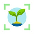 Weed identification leaf snap icon