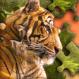 Icon of program: Jigsaw Puzzle