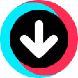 Ikon program: TikTok Video Keeper