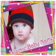 أيقونة البرنامج: Islamic Baby Names
