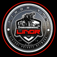LINOR PANEL icon