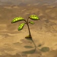 أيقونة البرنامج: World Seed RPG