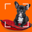 Ikona programu: Dog breeds - Smart Identi…