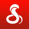 Иконка программы: Cobra iRadar