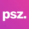 프로그램 아이콘: Pulsz
