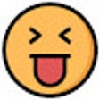 ไอคอนของโปรแกรม: MockGenius