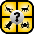 Icon of program: Guess All The Animals 202…