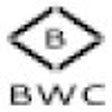 Ícone do programa: Basic Websocket Client
