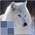 ไอคอนของโปรแกรม: Match Animals Game