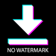 程序图标：Video Downloader for Tikt…