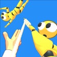Programikonen: Ragdoll Capture