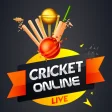 Cricket Online Play with Friends