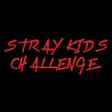 Ikon program: Stray Kids Challenge