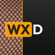 Ícone do programa: WXD Downloader  Player
