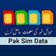 Icoon van programma: Pak Sim Data 2022