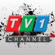程序图标：TV 1