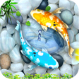 HD Fish Wallpaper icon