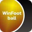 プログラムのアイコン：Win FootBall Catcher
