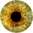 ไอคอนของโปรแกรม: Ishihara Color Blindness …