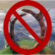 Icon of program: True Vikings