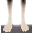 プログラムのアイコン：LEGS