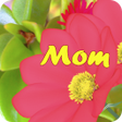 أيقونة البرنامج: Messages for Mothers