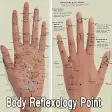 Body Reflexology Point