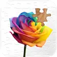 Roses jigsaw puzzles