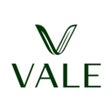 Ícone do programa: Vale Official
