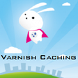 프로그램 아이콘: VarnishNginx Proxy Cachin…