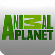 Icon of program: Animal Planets