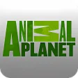 Animal Planets