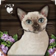 Icon of program: Cottage Garden