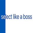 プログラムのアイコン：Select like a Boss