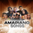程序图标：Amapiano All Songs