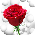Ikona programu: Flowers And Roses Animate…