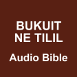 Kalenjin Audio Bible - NT