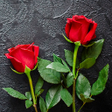 程序图标：Rose HD Wallpapers