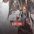 Icoon van programma: The Witcher 3: Wild Hunt …