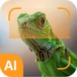 Icon of program: Reptile identifier