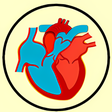 程序图标：Turbo Medical Terminology…