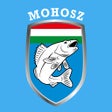 プログラムのアイコン：HORGÁSZ