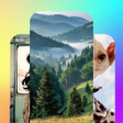 Programikonen: Canvasly Walls