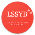 程序图标：Lean Six Sigma Yellow Bel…
