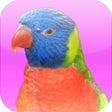 Icon of program: Animal Sounds with Photos