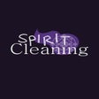 プログラムのアイコン: Spirit Cleaning