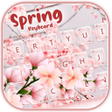 程序图标：Spring Keyboard Theme