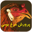 Ikona programu: پرورش مرغ بومی